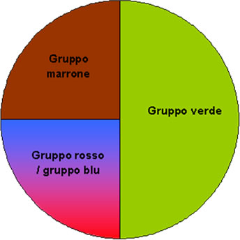 Piatto Equilibrato