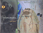 Dal territorio al Museo – Diario di una giornata all’aperto (2006)