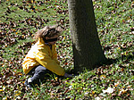 "Elogio dell'albero" - Alla scoperta degli alberi secolari (2007)