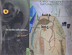 Dal territorio al Museo – Diario di una giornata all’aperto (2006)