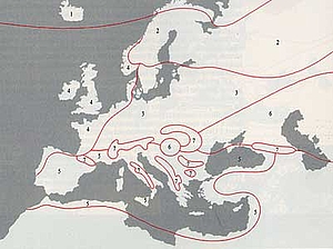 Principali regioni floristiche europee